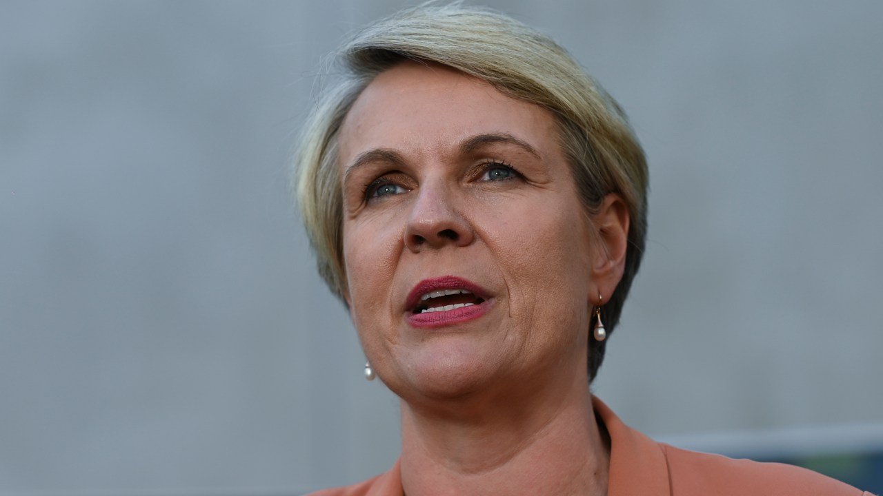 Labor Staffer Apologises To Environment Minister Tanya Plibersek After ...