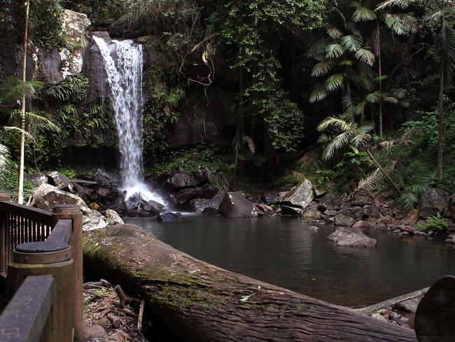 General pictures from Mt Tamborine's Gallery Walk and waterfalls - Curtis Falls