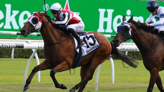Kirwan's Lane will appreciate an easier assignment and can break through at Randwick. Picture: Grant Guy