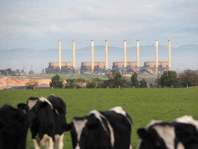 Hazelwood power station and dairy cattle in the La Trobe Valley in Morwell. Picture: AAP Image/Julian Smith