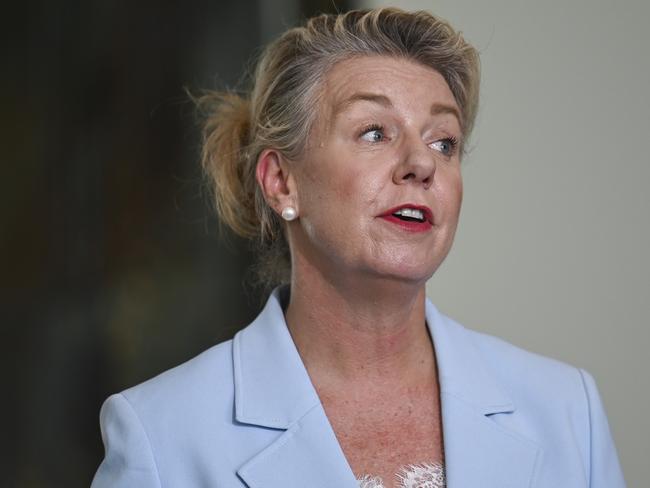 Senator Bridget McKenzie says Jacinta Allan can’t manage projects. Picture: Martin Ollman