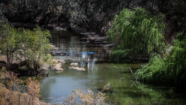 Rivers across the Murray-Darling Basin have been in steady decline since 2000. Picture: David Gray