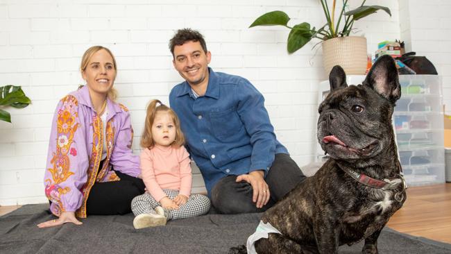 Tom and Sarah Gargiulo adopted French Bulldog Picnic. Picture: Jason Edwards