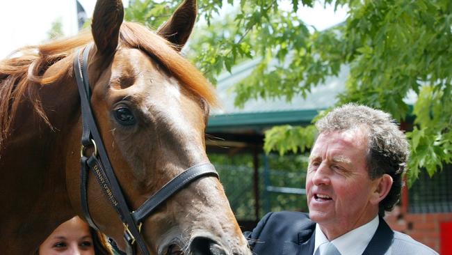 Former North Melbourne coach Denis Pagan is eyeing a career as a horse trainer.