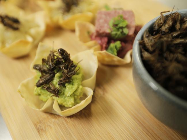 Tasmanian Aboriginal-inspired food at the 30th Taste of Tasmania, including native pepper berry, crickets and pulled wallaby. Picture: MATHEW FARRELL