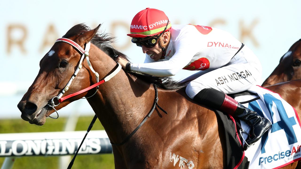 Ash Morgan looks set for a big day at Gosford on Sunday. Picture: Getty Images