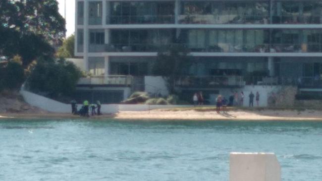 A 16-year-old girl has died after she was mauled by a shark in the Swan River at North Fremantle. Picture: Facebook