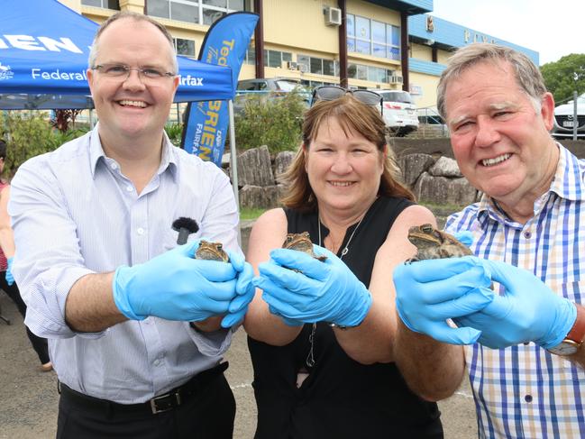 RIBBITING RACE: Toads face off for good cause