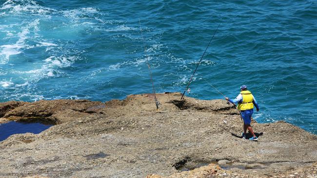 A recent Central Coast poll shows support for the marine park plans. Picture: Sue Graham