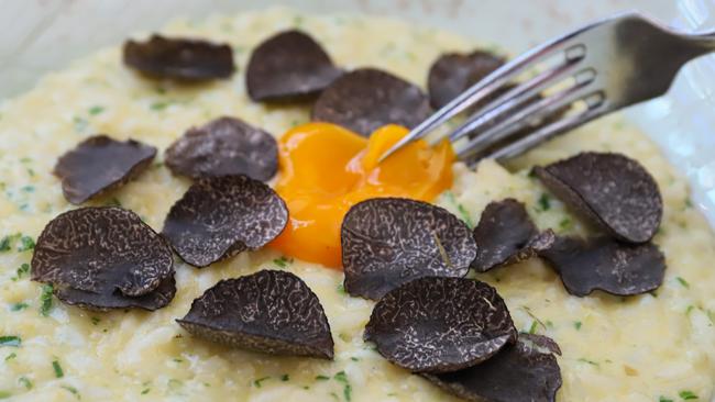 Cafe Sydney’s risotto with truffle. Picture: Jenifer Jagielski