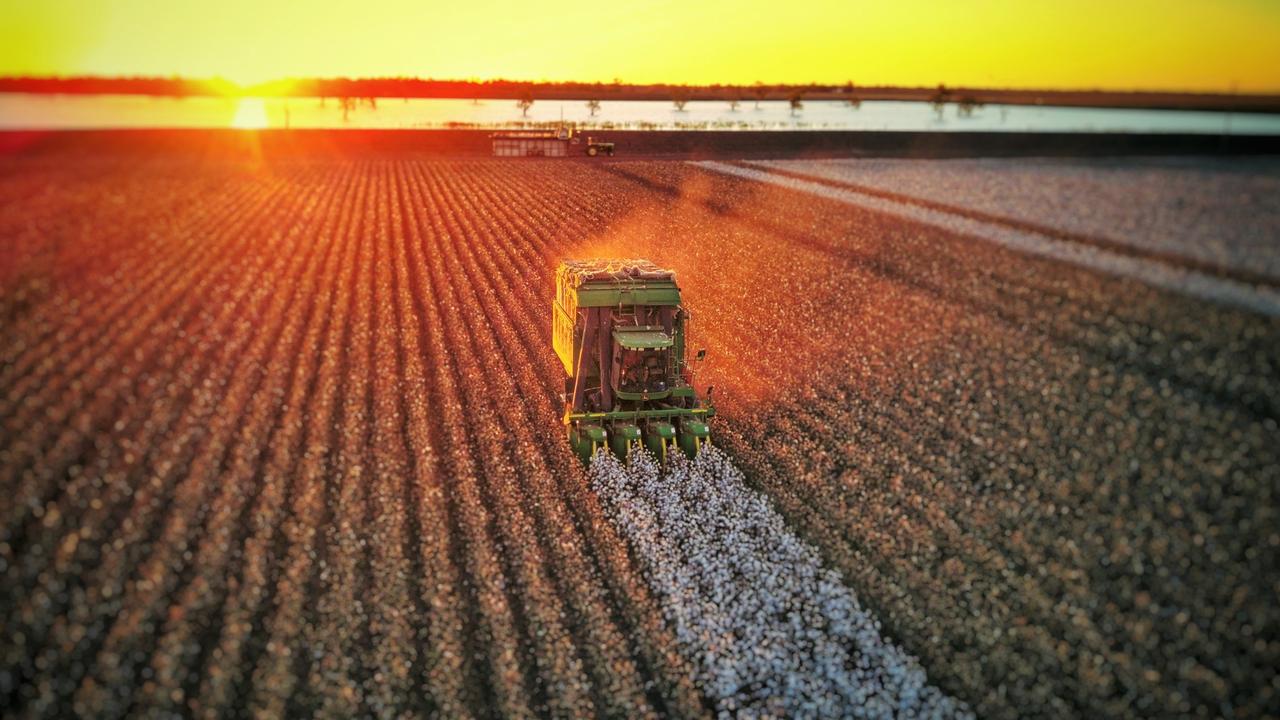 Wee Waa grows the wheat for your bread and pasta, the steak for your barbecue, the cotton for your clothes, and digs the metallurgical coal to make the steel for your iPhone and your car.