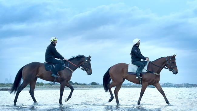 Champion mare Winx trails stablemate French Emotions at Altona Beach. Picture: Nicole Garmston