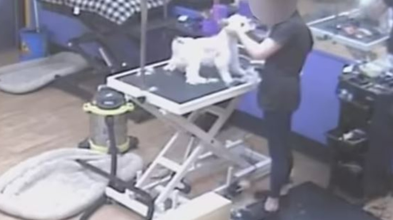 Disturbing CCTV of dog groomer’s cruel act