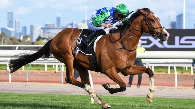 Grand Promenade is coming off a good win in The Bart Cummings. Picture: Getty Images