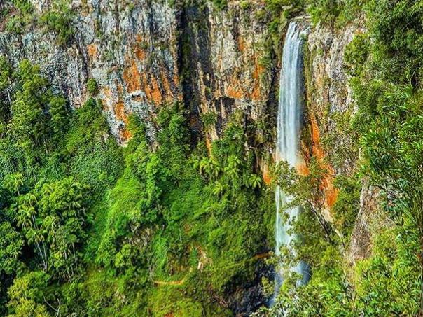 Purling Brook Falls, Springbrook, Gold Coast. Picture: Peter and Denise Unger @4foottravellers