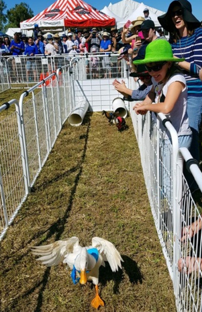 This year's Mackay Show will feature duck races. Picture: Contributed