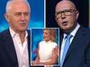 ‘He’s a thug’: Project panel left shocked