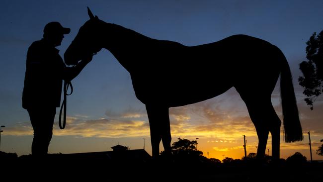 The racing industry is the dedicated workers who are up early in the morning looking after their price and joy.