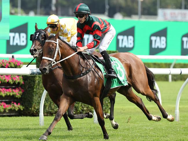 SYDNEY, AUSTRALIA - FEBRUARY 15: Zac Lloyd riding Lady Shenandoah win Race 7 TAB Light Fingers Stakes during Sydney Racing at Royal Randwick Racecourse on February 15, 2025 in Sydney, Australia. (Photo by Jeremy Ng/Getty Images)