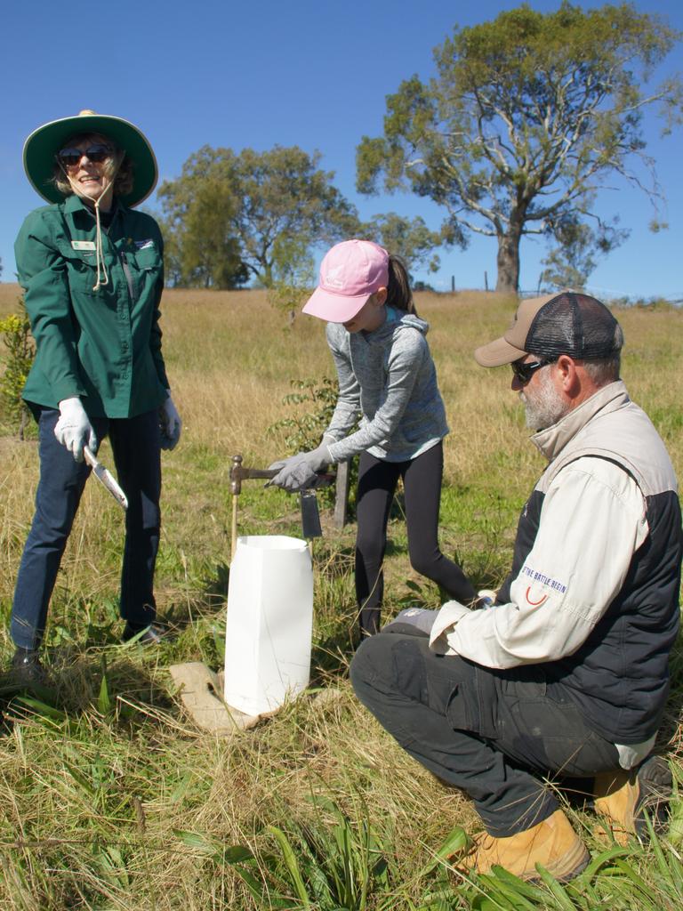 DOING THEIR BIT: Planting casuarina trees is Deb Ford (left) from Crows Nest Nursery, Clancy Angow and Ian Angow.