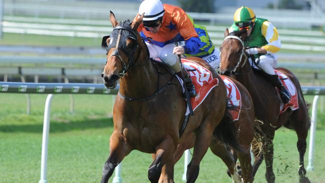 Danglissa Girl winning at Doomben.