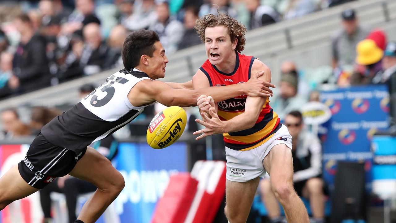 Adelaide young gun Zac Taylor limps from training with hip injury