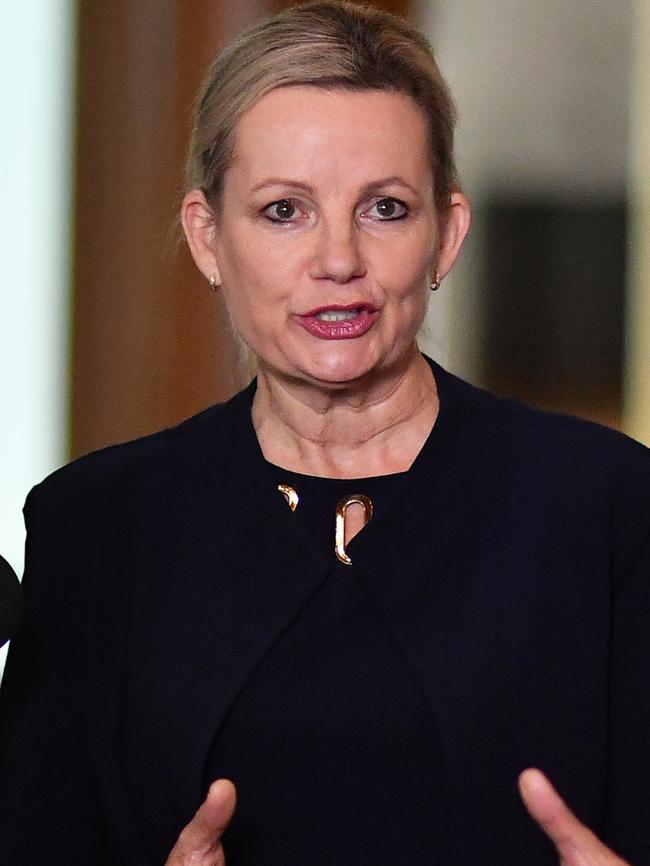 Environment Minister Sussan Ley. Picture: Sam Mooy/Getty Images