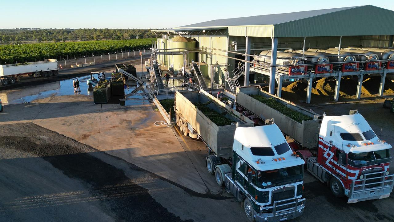 Jindalee Wines have three vineyards across the Murray Darling region.