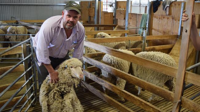 Merino wether trial shows big gaps in profit margins | The Weekly Times