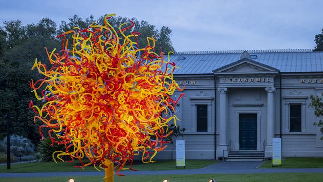 Dale Chihuly The Sun, 2014, Adelaide Botanic Garden. Picture: Nathaniel Willson