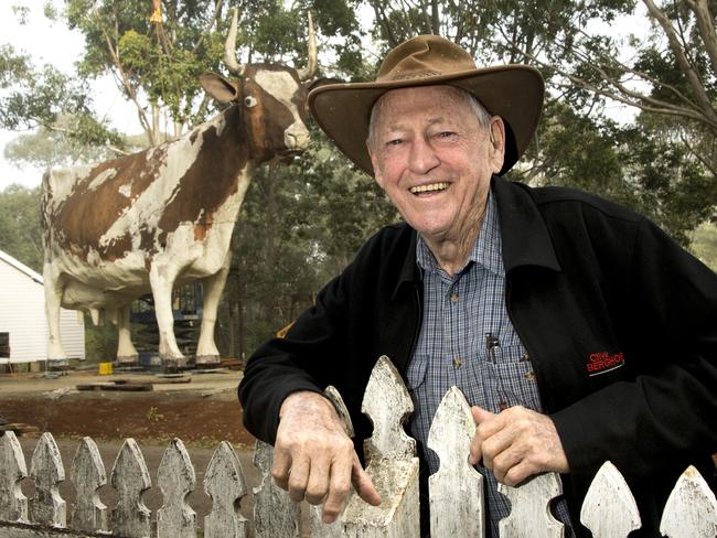 Whole now, brown cow: Tourist attraction in place