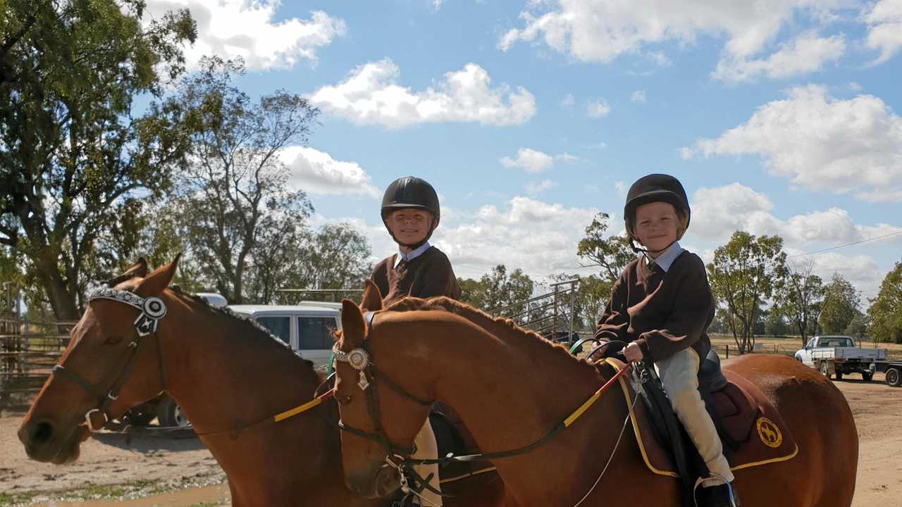 St show ring event a family tradition The Courier Mail