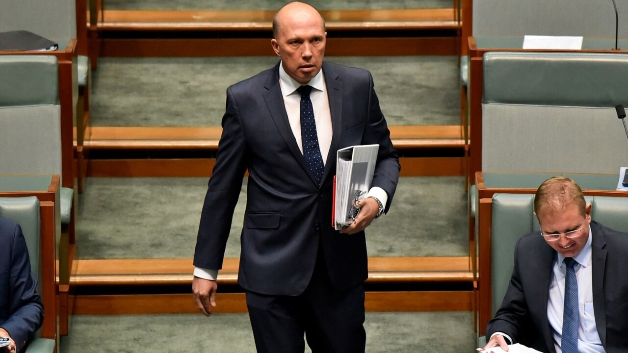 Nazi slur against Dutton 'despicable'