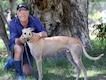 Star greyhound West On Augie, with owner Gary Weston at his kennels.Picture : Sharon Smith The West Australian