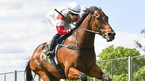 Fiddlers Green wins BENCHMARK 68 HANDICAP at Hawkesbury on November 21, 2024.Picture: Bradley Photos