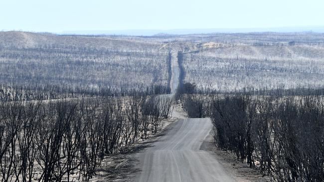 Flinders Chase National Park after bushfires swept through on Kangaroo Island, southwest of Adelaide, Tuesday, January 7, 2020. Picture: AAP