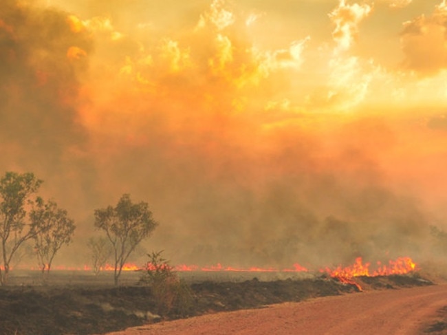 Qld bushfire picture credit 101.5FM