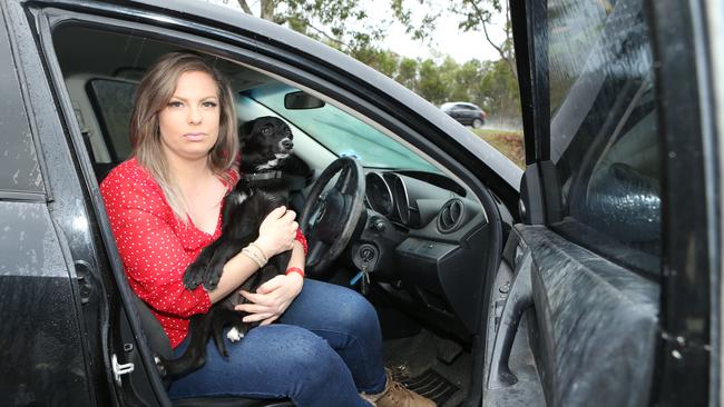 Ms Dargie in her car with her Border Kelpie cross puppy named Wilma. Picture Glenn Hampson