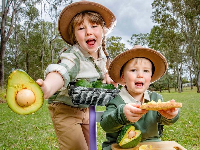 Five-year-old Kate Macmillan and two-year-old Aiden Smith promoting Blackbutt Avocado Festival "Avofest", Thursday, September 8, 2022 - Picture: Richard Walker