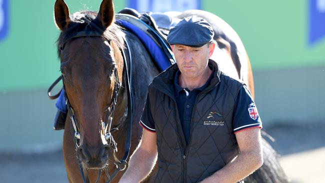 Marmelo was an eye-catching sixth in the Caulfield Cup and ticks plenty of boxes for the Melbourne Cup.