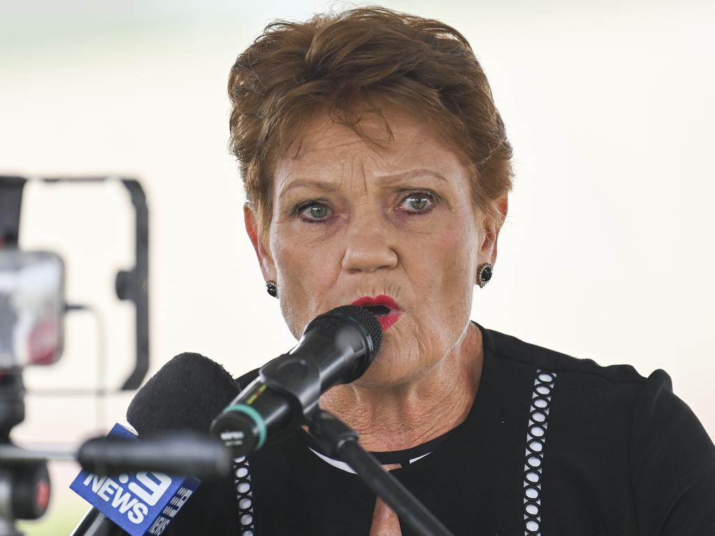 Pauline Hanson has declared ‘criticism is not racism’ as she seeks cash donations for her defamation fight over her call for a Greens Senator to ‘piss off back to Pakistan’.