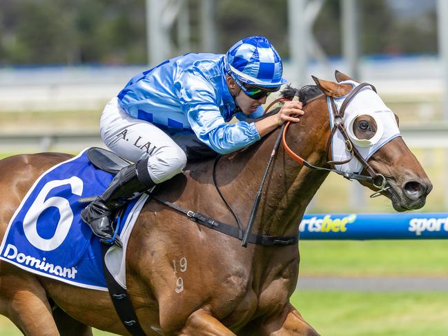 San Lucido, ridden by Alan Lai, wins at Morphettville last Saturday. Picture: Makoto Kaneko