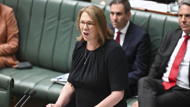 Emergency Management Minister Catherine King announced a grant for flood affected NSW residents. Picture: NCA NewsWire / Martin Ollman