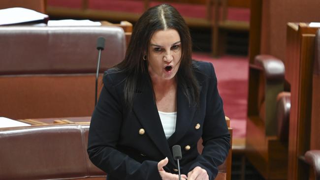 CANBERRA, Australia – NewsWire Photos – August 15, 2024: Senator Jacqui Lambie. Picture: NewsWire / Martin Ollman