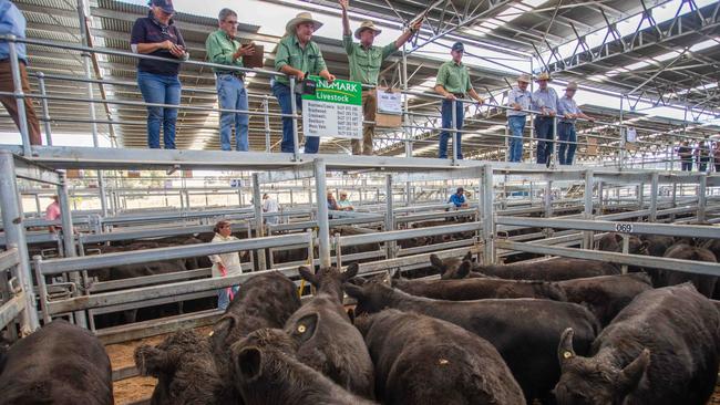 Yass Weaner Sale: Weight’s A Gain For Sellers 