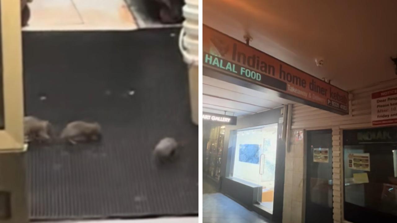 Rats filmed scurrying inside iconic takeaway