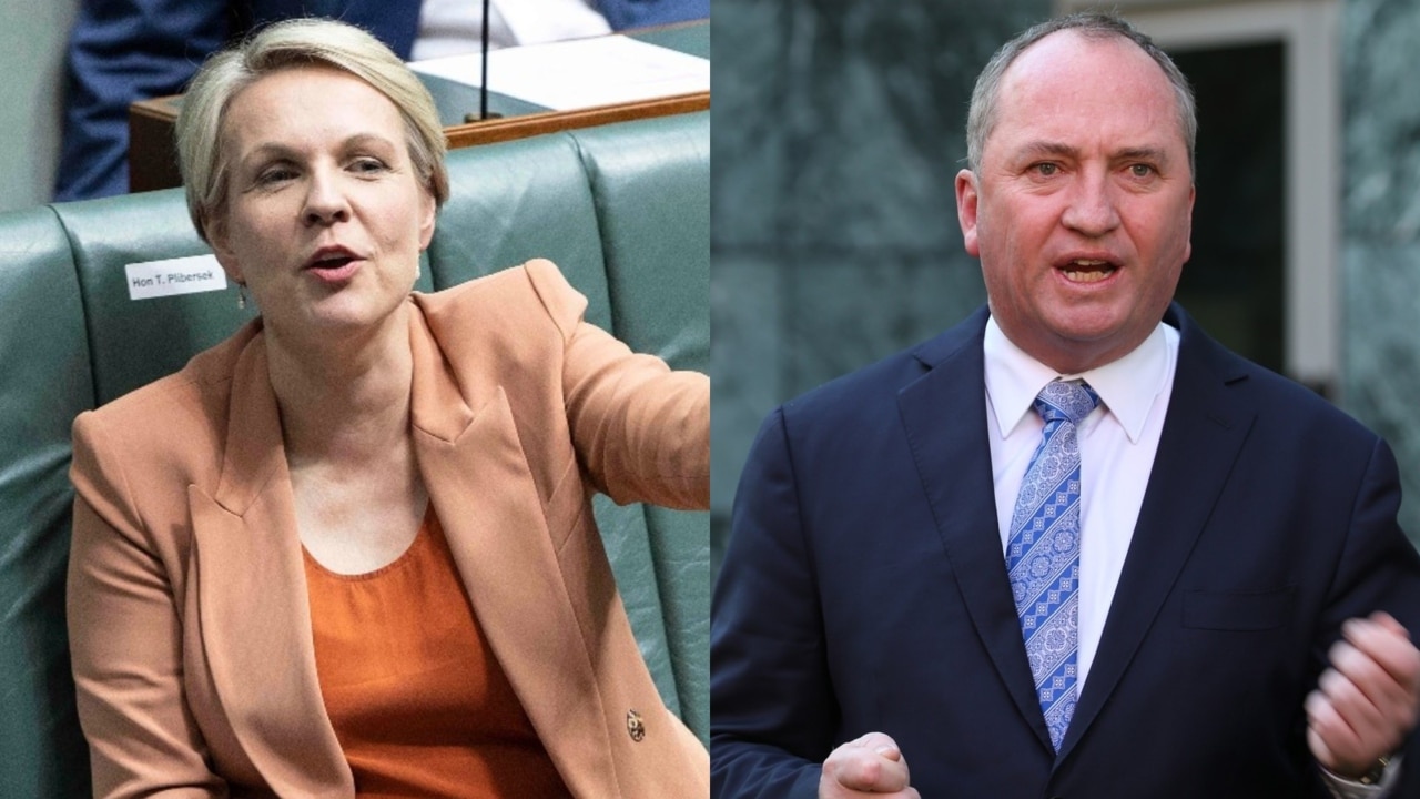 ‘Let light shine in’: Barnaby Joyce calls out Tanya Plibersek’s gold mine controversy