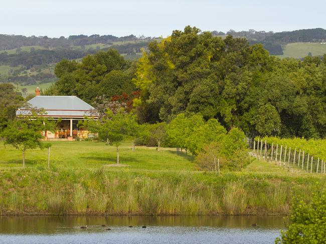 saweekend: Telltale and Vine, Fox Creek Cellar Door