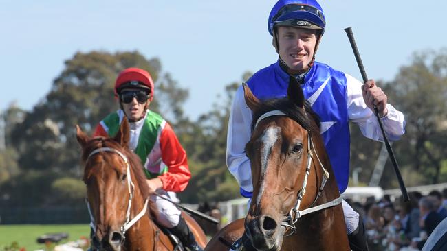 Rory Hutchings (pictured) will ride Torinda for trainer Joe Pride. Picture: AAP Image