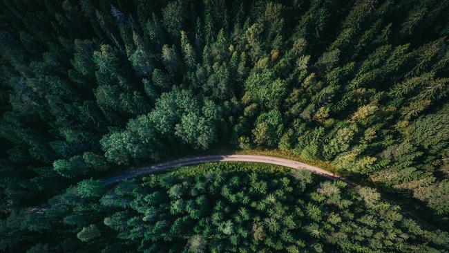 Road trips have become a favourite for families through Covid-19. Picture: Geran De Klerk via Unsplash